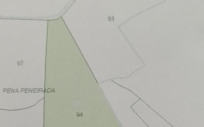 FINCA RUSTICA  31500